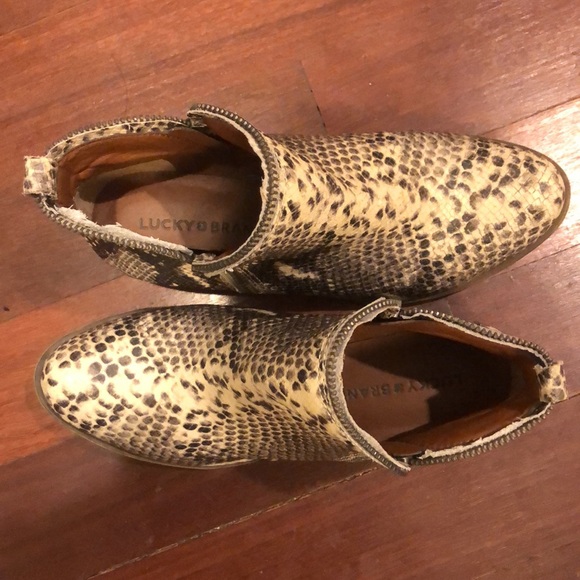 Lucky Brand Booties - snakeskin print leather - Picture 7 of 9